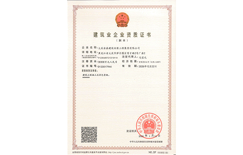 資質(zhì)證書(shū)（副本）